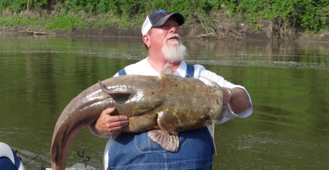 Why Do Catfish Change Colors? It’s Q&amp;A with CatDaddy